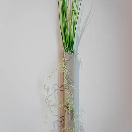 Mignon - Di Charme * 都灵